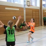 2017_01_08 Landesliga Frauen u. J19